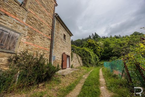 Landejendom i Bibbiena, Arezzo, Bibbiena - € 700.000 | Ref: R06394BIRU - foto 10
