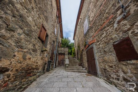 Landejendom i Bibbiena, Arezzo, Bibbiena - € 700.000 | Ref: R06394BIRU - foto 13