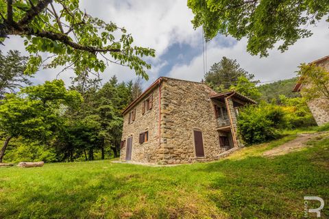 Landejendom i Bibbiena, Arezzo, Bibbiena - € 700.000 | Ref: R06394BIRU - foto 28