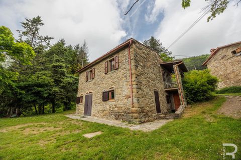 Landejendom i Bibbiena, Arezzo, Bibbiena - € 700.000 | Ref: R06394BIRU - foto 19
