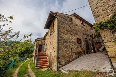 Landejendom i Bibbiena, Arezzo, Bibbiena - € 700.000 | Ref: R06394BIRU - foto 12