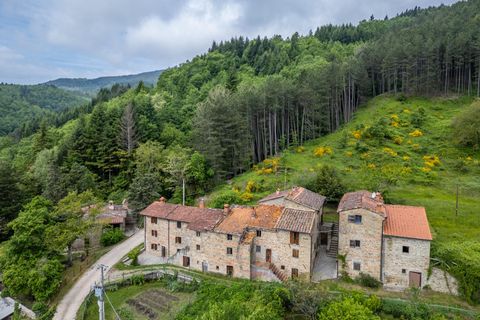 Landejendom i Bibbiena, Arezzo, Bibbiena - € 700.000 | Ref: R06394BIRU - foto 2