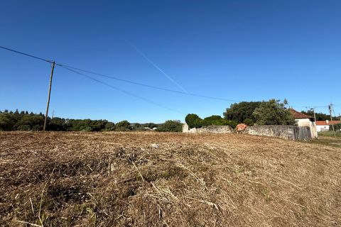 Villa a Alcobaca, Leiria, Alcobaca - € 150.000 | Ref: RVE2987 - foto 13