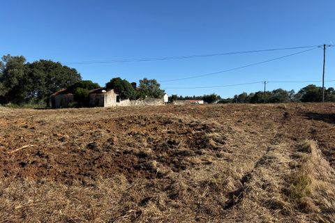 Villa a Alcobaca, Leiria, Alcobaca - € 150.000 | Ref: RVE2987 - foto 5