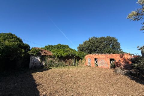 Villa a Alcobaca, Leiria, Alcobaca - € 150.000 | Ref: RVE2987 - foto 7