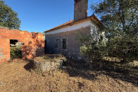 Villa a Alcobaca, Leiria, Alcobaca - € 150.000 | Ref: RVE2987 - foto 9