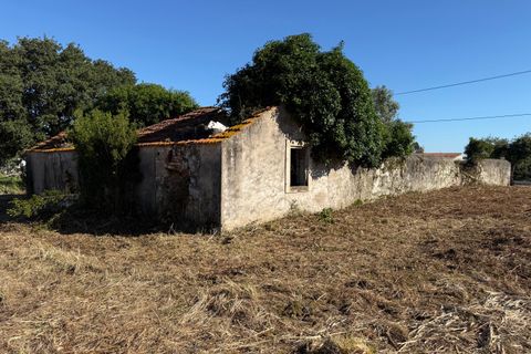 Villa a Alcobaca, Leiria, Alcobaca - € 150.000 | Ref: RVE2987 - foto 4