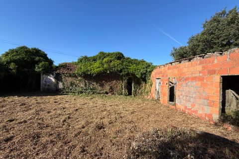 Villa a Alcobaca, Leiria, Alcobaca - € 150.000 | Ref: RVE2987 - foto 8