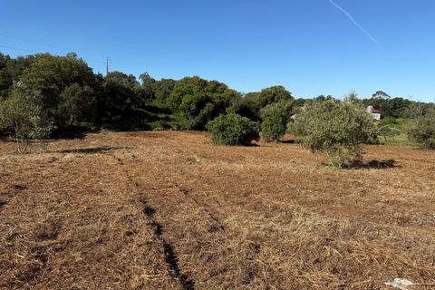 Villa a Alcobaca, Leiria, Alcobaca - € 150.000 | Ref: RVE2987 - foto 16