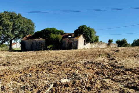 Villa a Alcobaca, Leiria, Alcobaca - € 150.000 | Ref: RVE2987 - foto 19