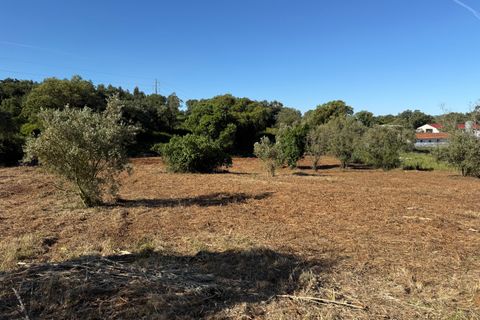 Villa a Alcobaca, Leiria, Alcobaca - € 150.000 | Ref: RVE2987 - foto 18