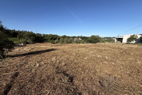 Villa a Alcobaca, Leiria, Alcobaca - € 150.000 | Ref: RVE2987 - foto 15