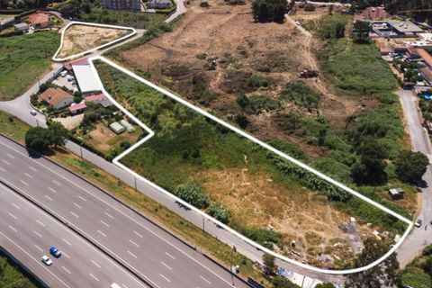 Terra a Grijo, Porto, Grijo - € 798.000 | Ref: SÒL_19 - foto 2