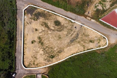 Terra a Grijo, Porto, Grijo - € 798.000 | Ref: SÒL_19 - foto 3