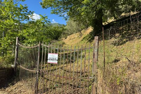 Tomt i Quadrelle, Avellino, Quadrelle - € 165 000 | Ref: 459590 - foto 3
