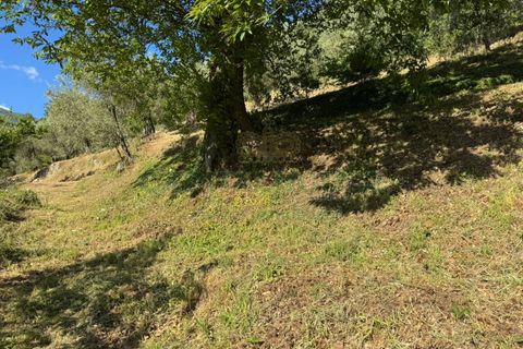 Tomt i Quadrelle, Avellino, Quadrelle - € 165 000 | Ref: 459590 - foto 6