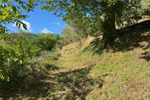 Tomt i Quadrelle, Avellino, Quadrelle - € 165 000 | Ref: 459590 - foto 7