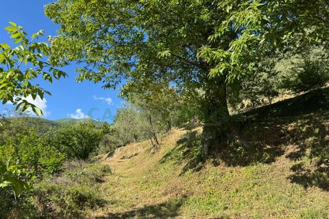 Tomt i Quadrelle, Avellino, Quadrelle - € 165 000 | Ref: 459590 - foto 9