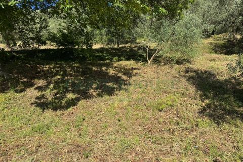 Tomt i Quadrelle, Avellino, Quadrelle - € 165 000 | Ref: 459590 - foto 10
