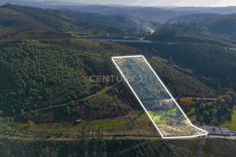 Helårsgrund i Foz do Sousa e Covelo, Porto, Foz do Sousa e Covelo - € 58.900 | Ref: C0272-02550 - foto 2
