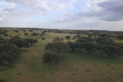 Farm hus i Mourao, Evora, Mourao - € 450.000 | Ref: C0484-00505 - foto 16