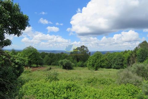 Villa i Miranda do Corvo, Coimbra, Miranda do Corvo - € 85.000 | Ref: ko2731 - foto 35