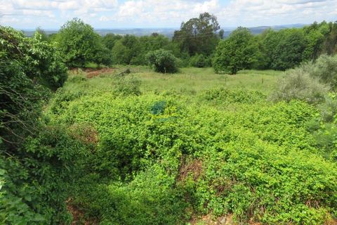 Villa i Miranda do Corvo, Coimbra, Miranda do Corvo - € 85.000 | Ref: ko2731 - foto 44