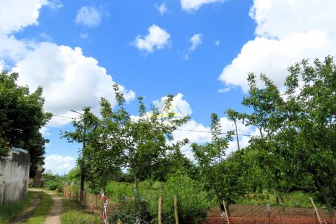 Villa i Miranda do Corvo, Coimbra, Miranda do Corvo - € 85.000 | Ref: ko2731 - foto 46