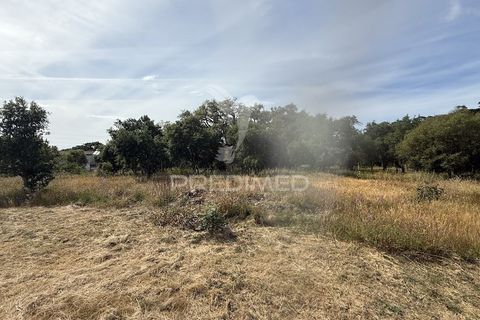 Farm hus i Sines, Setubal, Sines - € 950.000 | Ref: 060322 - foto 29