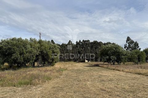 Farm hus i Sines, Setubal, Sines - € 950.000 | Ref: 060322 - foto 32