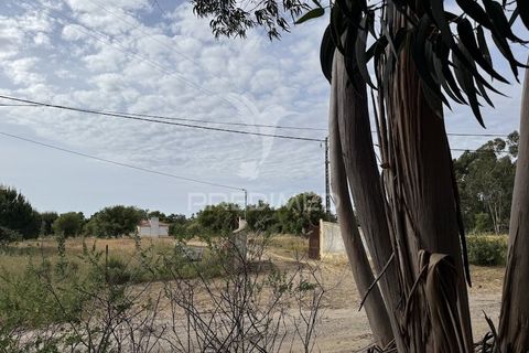 Farm hus i Sines, Setubal, Sines - € 950.000 | Ref: 060322 - foto 37