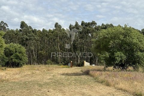 Farm hus i Sines, Setubal, Sines - € 950.000 | Ref: 060322 - foto 40