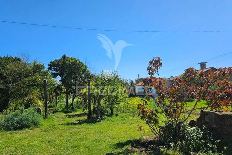 Landejendom i Barcelos, Braga, Barcelos - € 690.000 | Ref: 060599 - foto 6