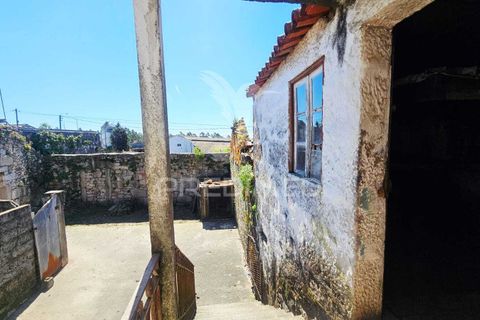 Landejendom i Barcelos, Braga, Barcelos - € 690.000 | Ref: 060599 - foto 11