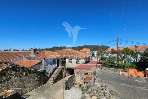 Landejendom i Barcelos, Braga, Barcelos - € 690.000 | Ref: 060599 - foto 20