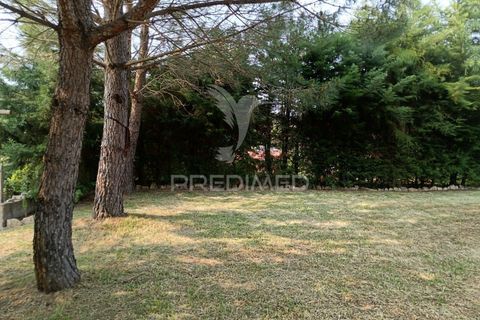 Byhus i Sardoal, Santarem, Sardoal - € 450.000 | Ref: 060615 - foto 23