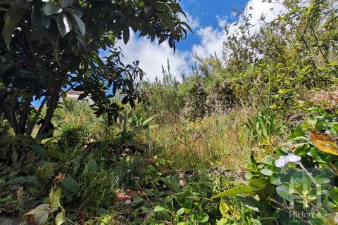 Helårsgrund i Sao Roque, Madeira, Sao Roque - € 90.000 | Ref: HH_2794MD26 - foto 11