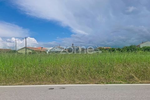 Helårsgrund i Lavos, Coimbra, Lavos - € 97.000 | Ref: ZMPT588901 - foto 1