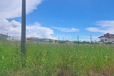 Helårsgrund i Lavos, Coimbra, Lavos - € 97.000 | Ref: ZMPT588901 - foto 2