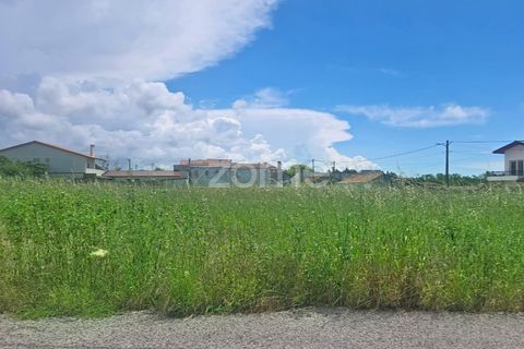 Helårsgrund i Lavos, Coimbra, Lavos - € 97.000 | Ref: ZMPT588901 - foto 3