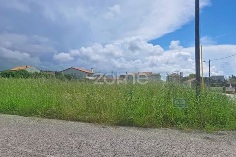 Helårsgrund i Lavos, Coimbra, Lavos - € 97.000 | Ref: ZMPT588901 - foto 4