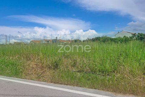 Helårsgrund i Lavos, Coimbra, Lavos - € 97.000 | Ref: ZMPT588901 - foto 5