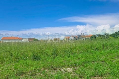 Helårsgrund i Lavos, Coimbra, Lavos - € 97.000 | Ref: ZMPT588901 - foto 6