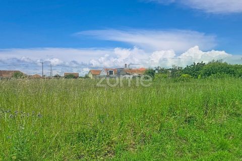 Helårsgrund i Lavos, Coimbra, Lavos - € 97.000 | Ref: ZMPT588901 - foto 7