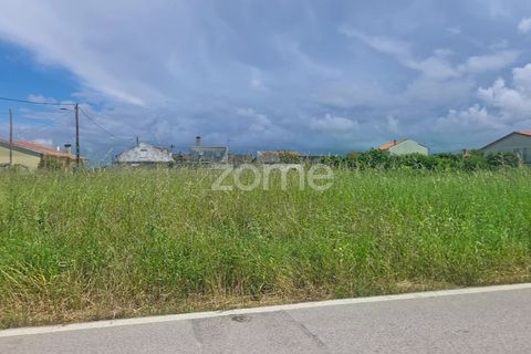 Helårsgrund i Lavos, Coimbra, Lavos - € 97.000 | Ref: ZMPT588901 - foto 9