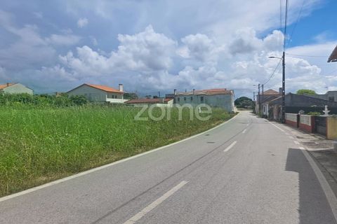 Helårsgrund i Lavos, Coimbra, Lavos - € 97.000 | Ref: ZMPT588901 - foto 10