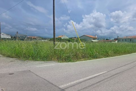 Helårsgrund i Lavos, Coimbra, Lavos - € 97.000 | Ref: ZMPT588901 - foto 11