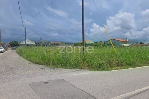 Helårsgrund i Lavos, Coimbra, Lavos - € 97.000 | Ref: ZMPT588901 - foto 12
