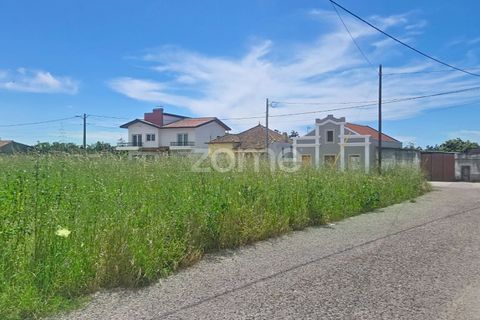 Helårsgrund i Lavos, Coimbra, Lavos - € 97.000 | Ref: ZMPT588901 - foto 13