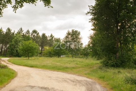 Helårsgrund i Seia, Guarda, Seia - € 190.000 | Ref: ZMPT588803 - foto 5